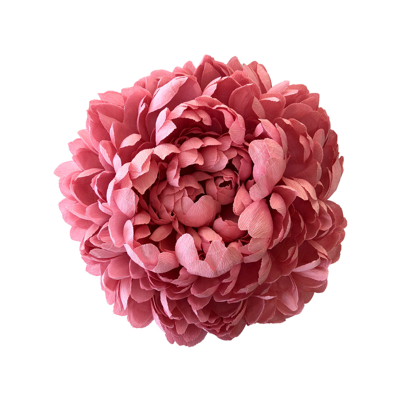May 15 2021 - New full-frame floral prints launched today!