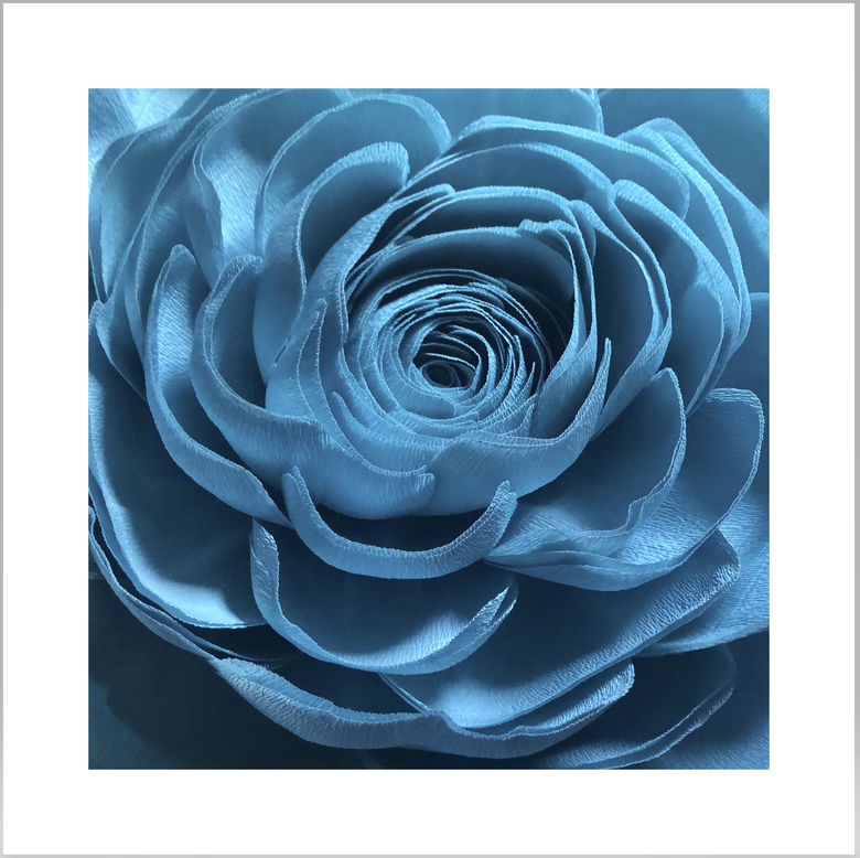 June 1 2021 - Announcing our 'June in Bloom' Print Offer!
