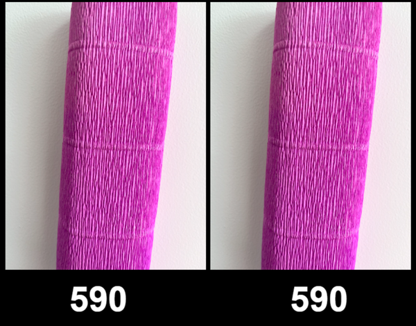 Giant Crepe-Paper Anemone Backdrop Kit