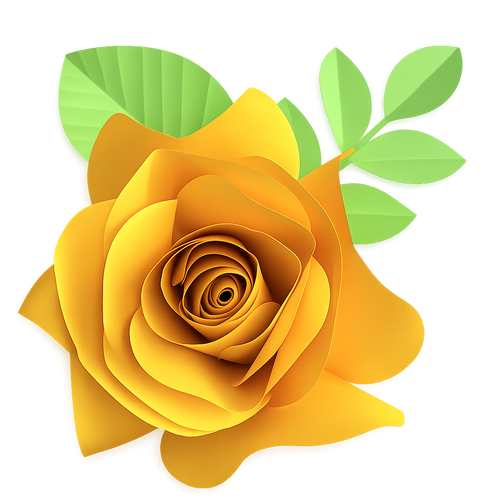 5 Roses Signature Giant Paper Backdrop Kit