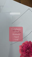 Giant Crepe-Paper Anemone EBOOK & Templates Bundle