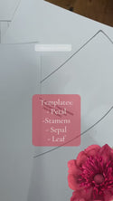 Giant Crepe-Paper Flower - Anemone Templates Kit